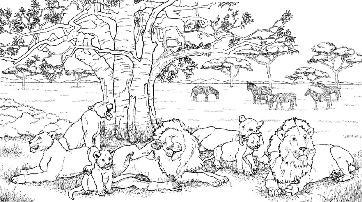 nature in africa028
